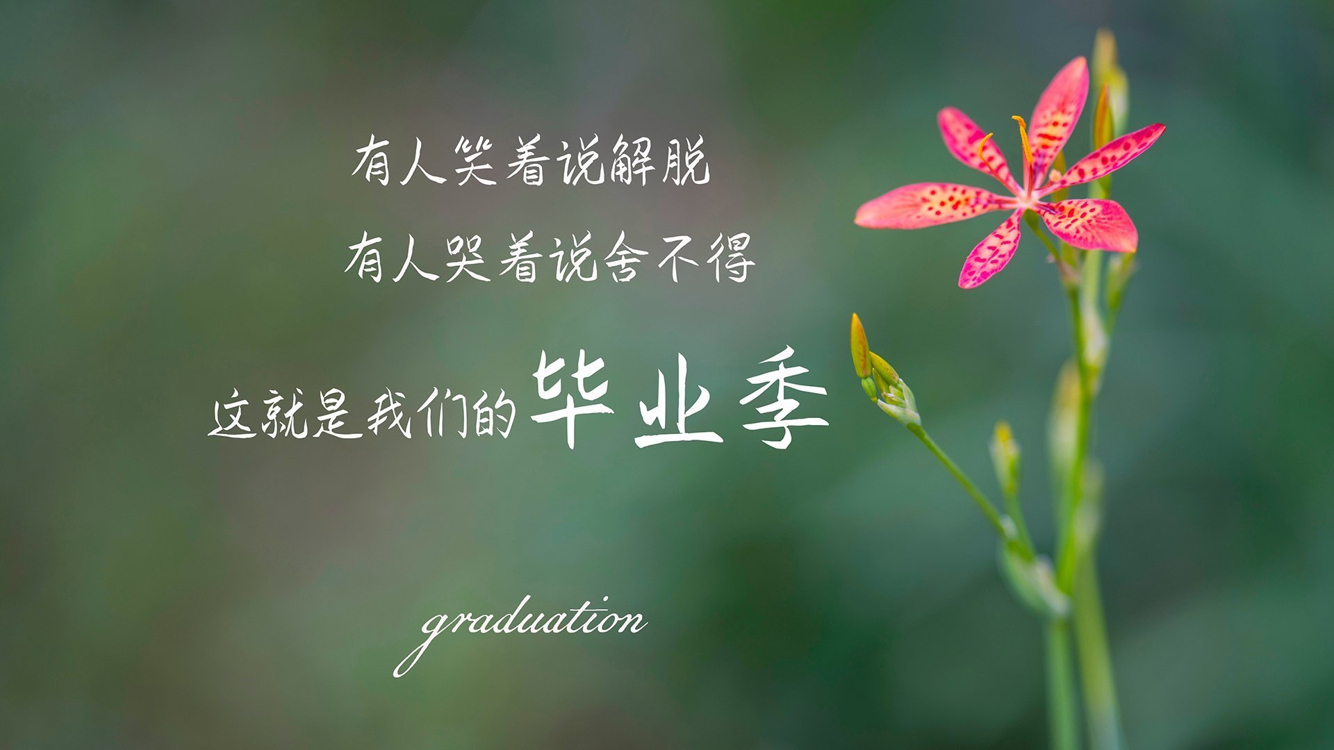 开云网页版登录入口-城市街道：城市赛的速度与风景，城市街道图片 唯美 风景图片